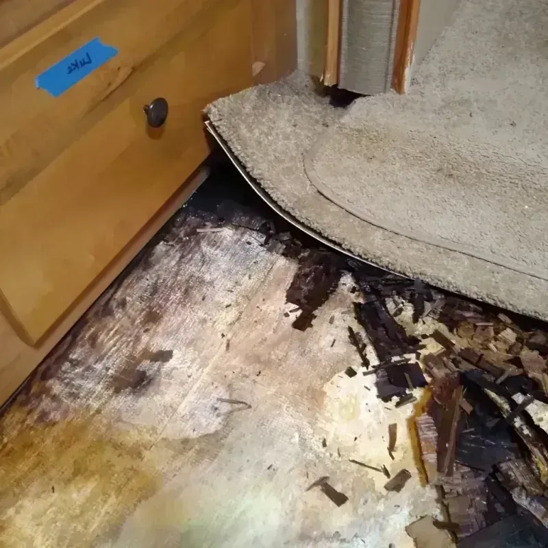 Wood Floor Water Damage in Rockland County, NY